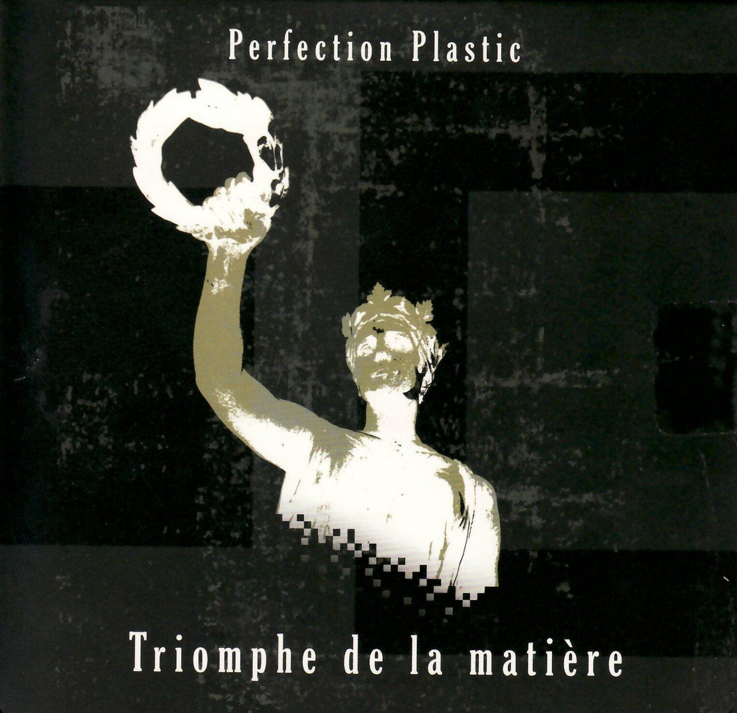 Triomphe De La Matiere [Audio CD] Perfection Plastic - Good