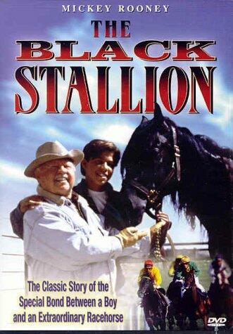 The Black Stallion [Import] [DVD]