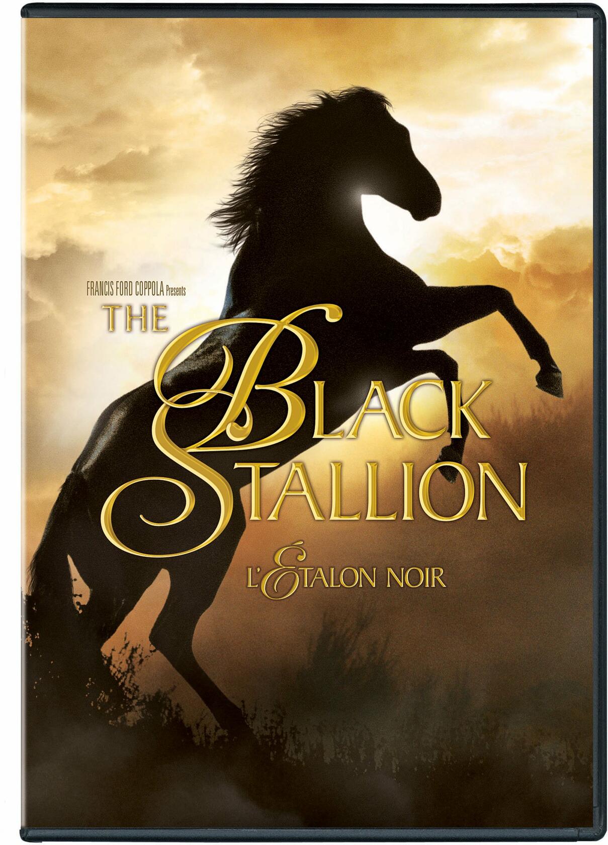 Black Stallion - Very Good